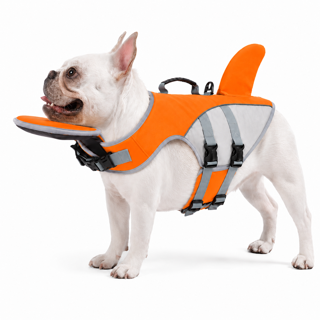 BERGSTIL PawFloat Life Jacket